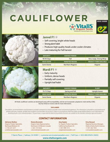 CAULIFLOWER