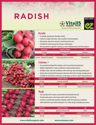 radish