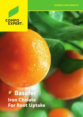 Basafer