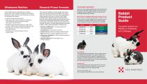 Rabbit Product Guide (2025)