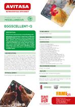 EGGSCELLENT-Q