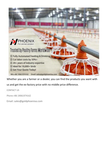 Automatic Chicken Feeding and Drinking Line