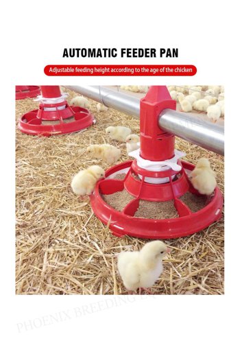 Automatic Poultry Feeder Pan Suitable for Any Age Chicken