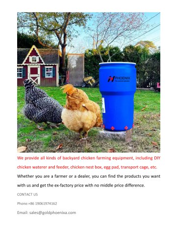 Backyard Chicken Farming Equipment