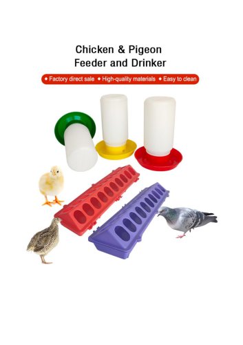 Chick Feeder Trough and Drinker Bucket