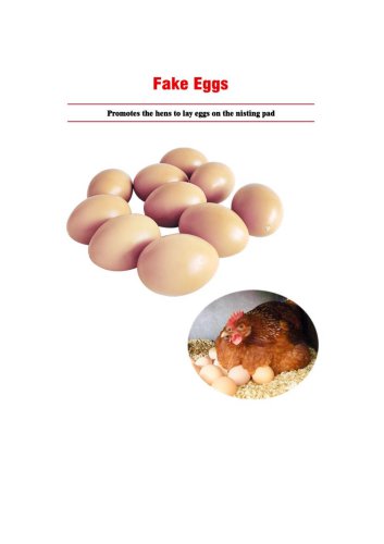 Chicken Fake Egg