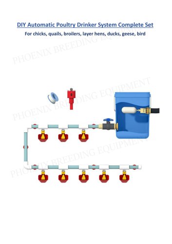 DIY Automatic Poultry Drinker System Complete Set