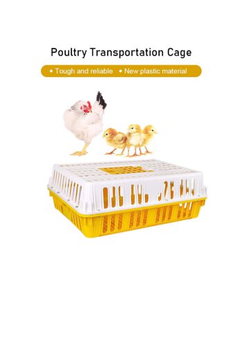 Live Chicken Transport Crate