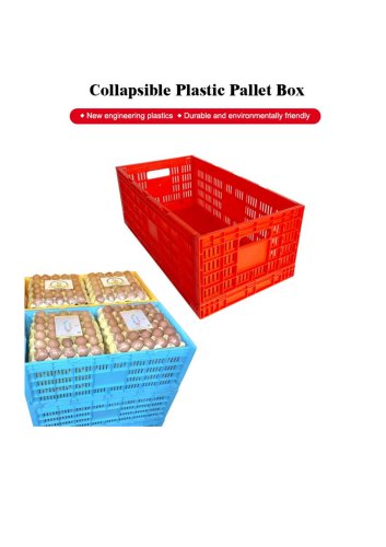 Plastic Foldable Egg Transport Crate for 240 Eggs