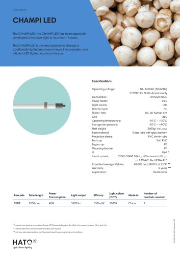 CHAMPI LED