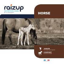 Horse Catalogue