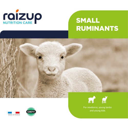 Small Ruminant Catalogue
