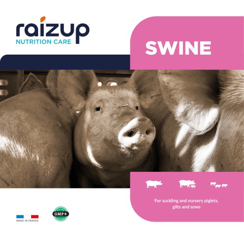 Swine Catalogue