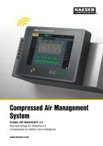 Compressed Air Management System