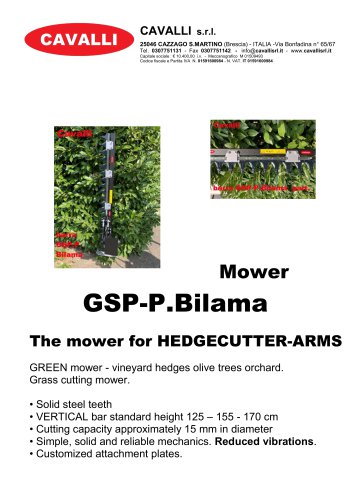GSP-P. BILAMA