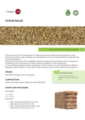 STRAW BALES