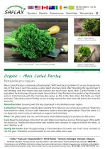 Organic - Moss Curled Parsley