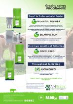 Balance Programme · Feeder calves