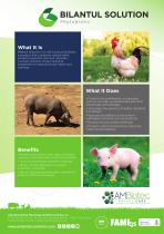 Bilantul Solución · Product brochure