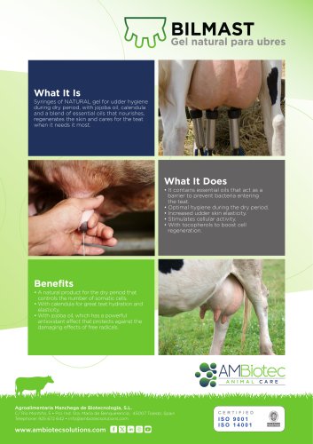 Bilmast &middot; Product brochure