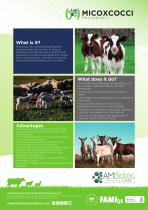 Micoxcocci · Product brochure
