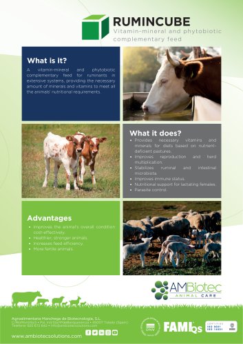 Rumincube &middot; Product brochure