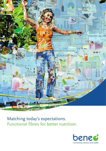 functional fibre brochure