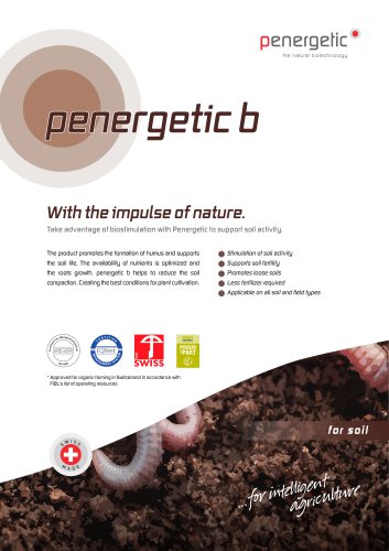 penergetic b