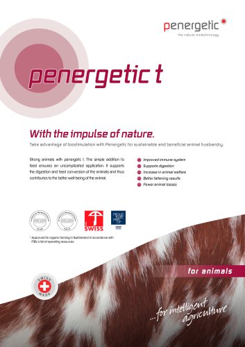 penergetic t