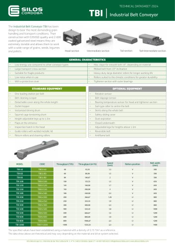 Industrial Belt Conveyor