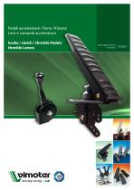 brake / clutch / throttle Pedals throttle Levers