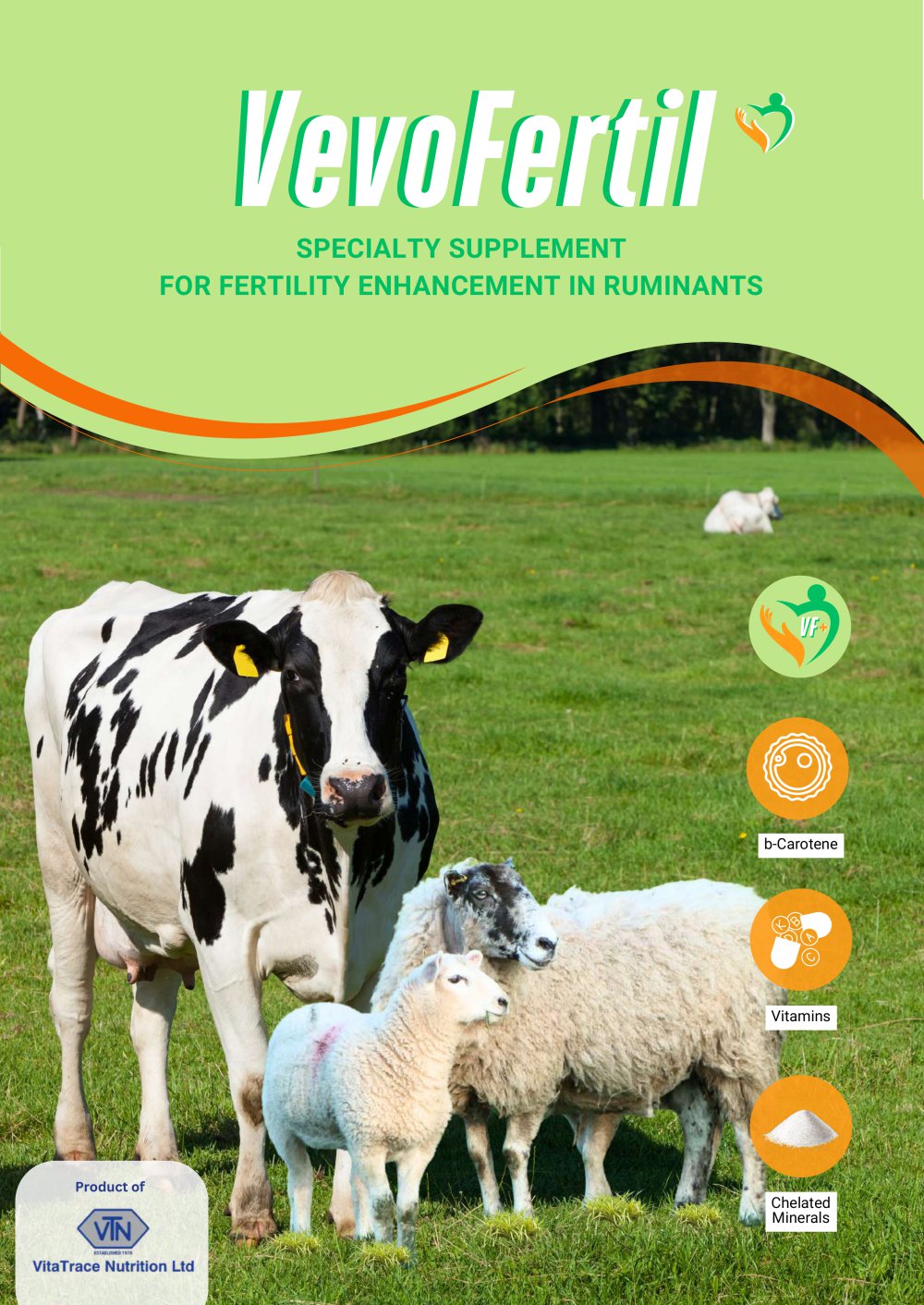 VevoFertil+ - VitaTrace Nutrition Ltd